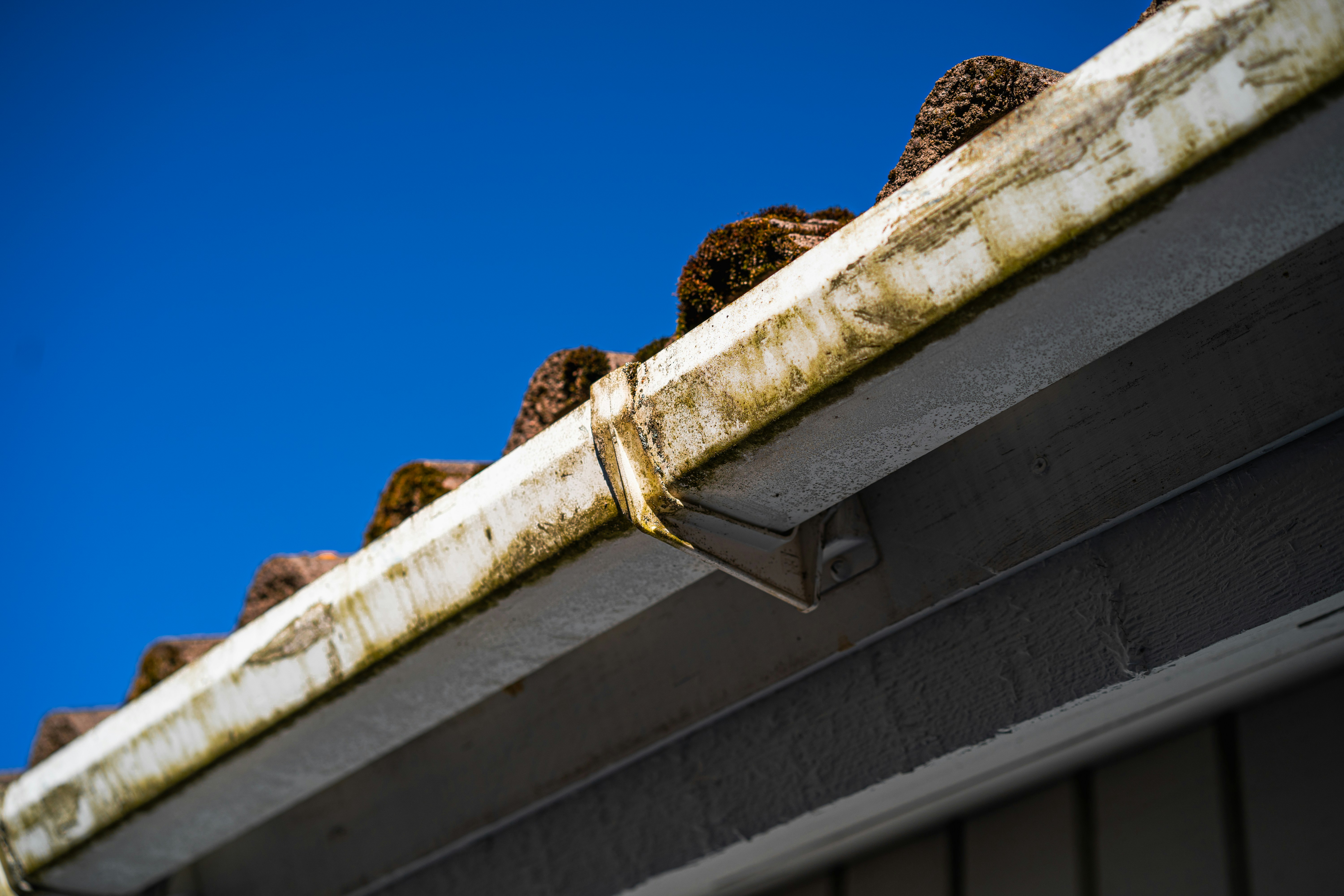 Gutter cleaning and repair